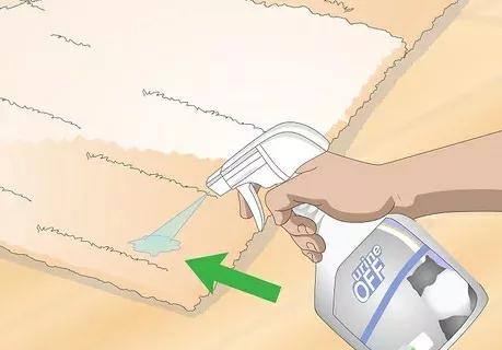 如何清除貓尿產生的汙漬