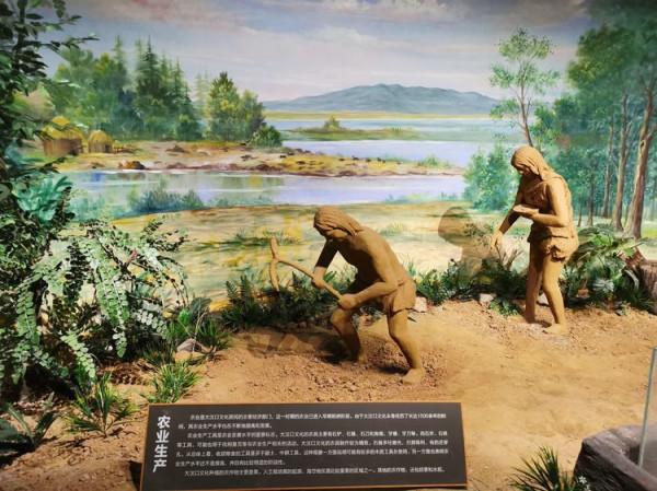 草民看歷史：“食”遍天下與原始農業文明（二）