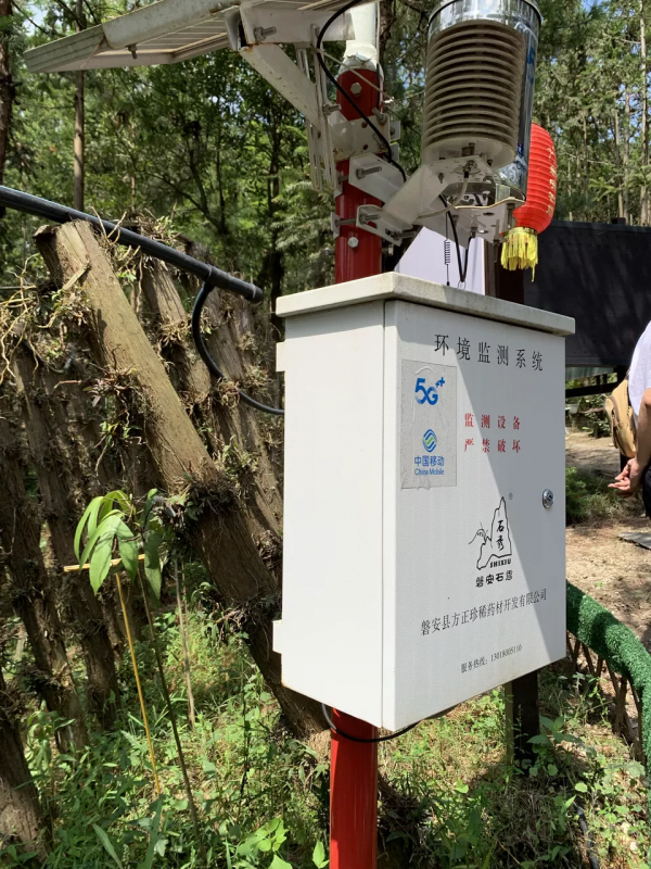 被5G改變的城中村和8000租客 被5G改變的城中村和8000租客