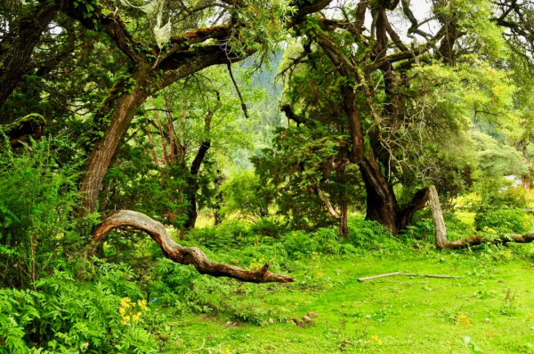 ​中國這7個“很特別”的地方,美如仙境,卻禁止外國人隨意進入 ​中國這7個“很特別”的地方,美如仙境,卻禁止外國人隨意進入