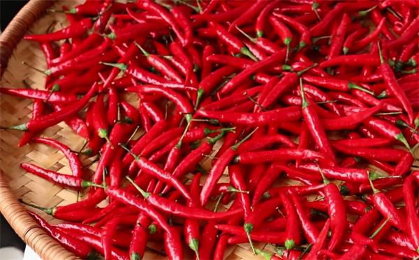 做剁椒醬的季節到了，20年秘製配方告訴你，又香又辣，拌啥都好吃
