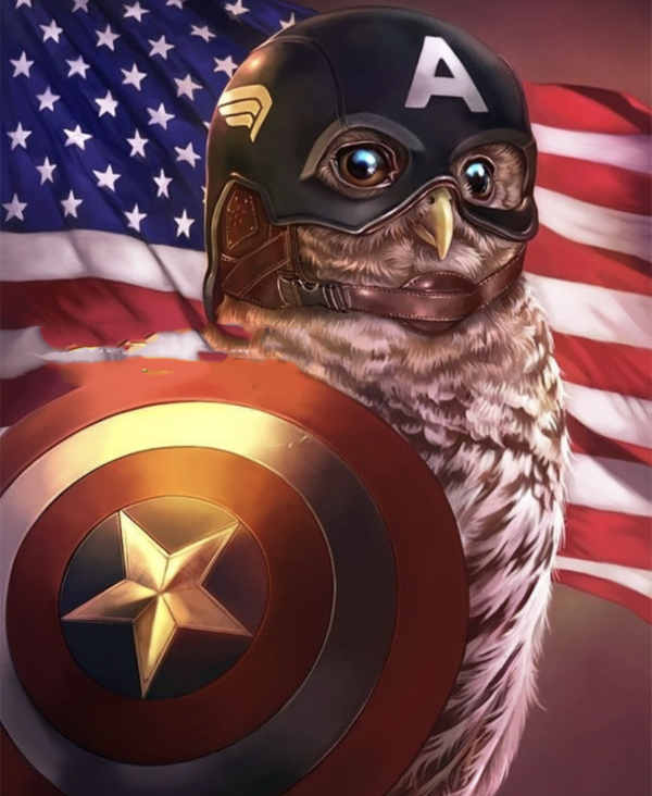 動漫人物都被替換成了貓頭鷹,這熟悉又好笑的模樣,讓人忍俊不禁 動漫人物都被替換成了貓頭鷹,這熟悉又好笑的模樣,讓人忍俊不禁