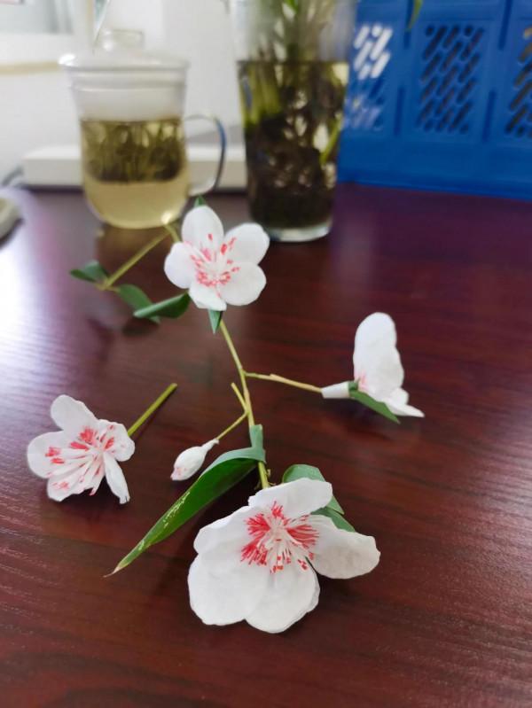 廢物利用~冬日第一束桃花 廢物利用~冬日第一束桃花