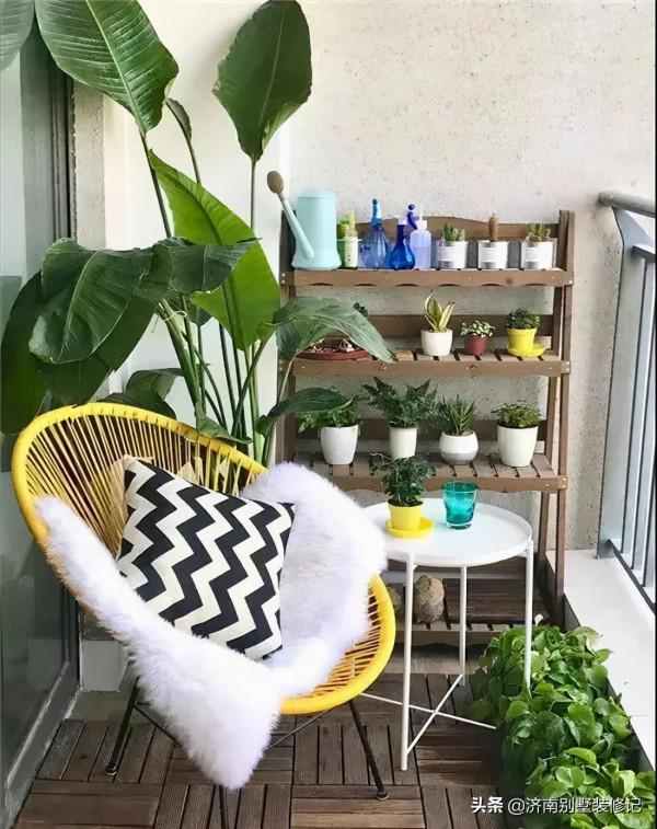 陽臺花園,獨享自然的風光 陽臺花園,獨享自然的風光