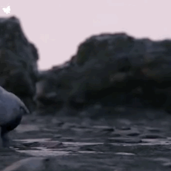 超火的奧特曼表情包,來一組唄 超火的奧特曼表情包,來一組唄