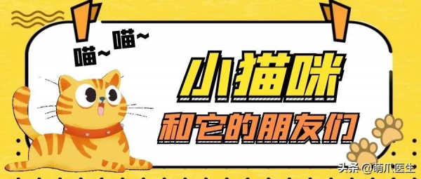 原來貓咪在動物界這麼不受歡迎,大家都不喜歡它 原來貓咪在動物界這麼不受歡迎,大家都不喜歡它