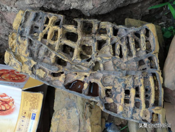 石頭侃貴州|像陶罐、似窗稜……這些千奇百怪的觀賞石竟是同源 石頭侃貴州|像陶罐、似窗稜……這些千奇百怪的觀賞石竟是同源