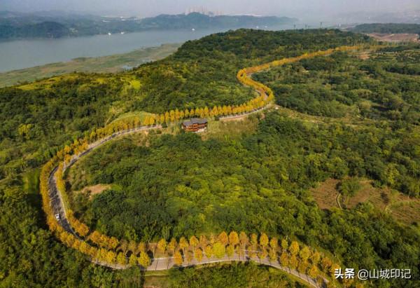 廣陽島初冬美景正式登場,驚豔整個冬天,快來更新桌布吧 廣陽島初冬美景正式登場,驚豔整個冬天,快來更新桌布吧