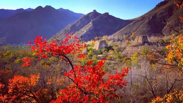 烏盟農村正月看新媳婦