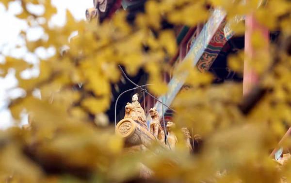 最愛北京，金秋如畫