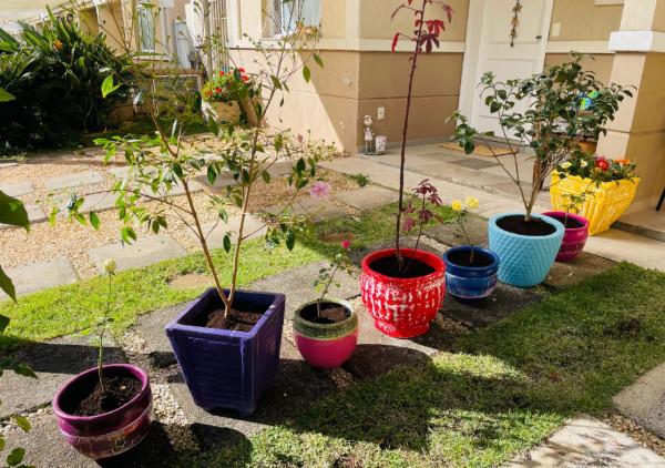 冬季養花的“3大技巧”，越冬更順利，枝葉鮮活花更旺