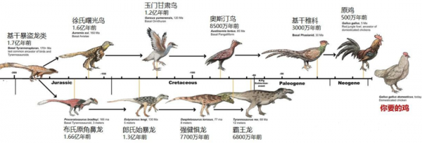 將100只家雞放到荒野中,它們3年後會有什麼變化?原因何在? 將100只家雞放到荒野中,它們3年後會有什麼變化?原因何在?