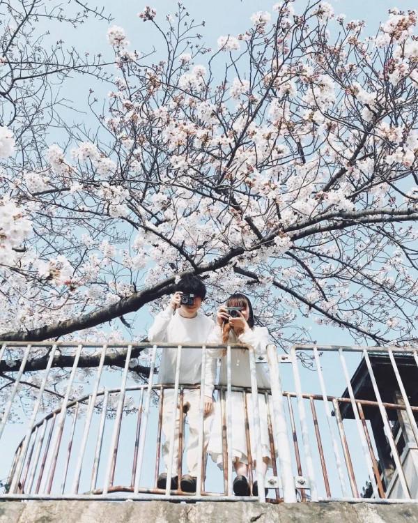 愛上旅行後,你果然變了 愛上旅行後,你果然變了