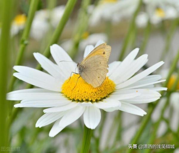 節後綜合症~緩解方法