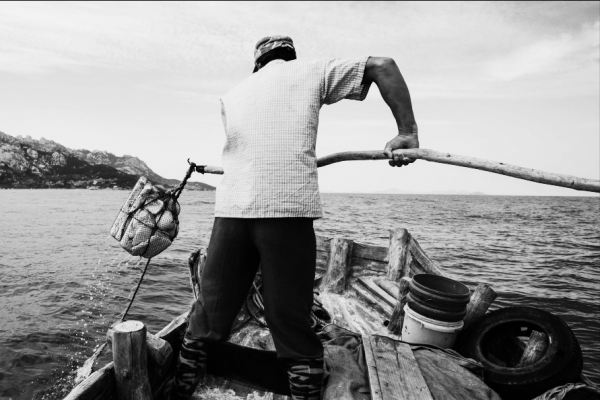 49年加入國民黨，潛入大陸被拋棄卻老來得子，軍情特務的悲慘一生