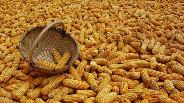 美國損招頻出，瓦解蘇聯後又對中國故技重施，最後的結果怎麼樣了？