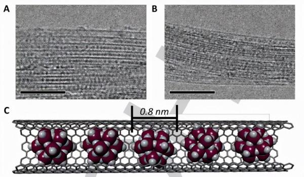 Angew：多鉬酸鹽在SWNT中的有效封裝