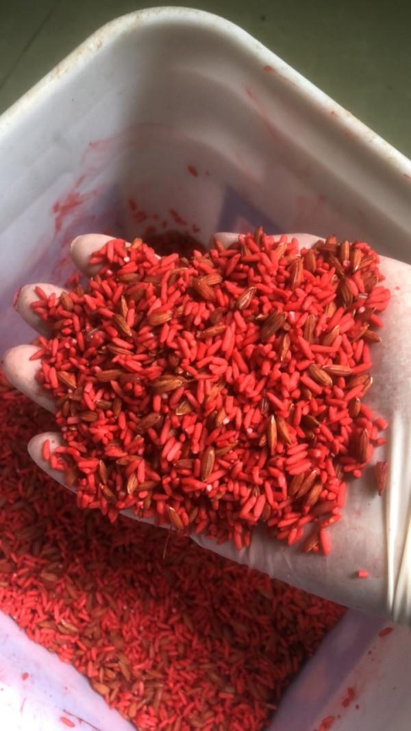 冬季不想空軍，跟大師學釣魚