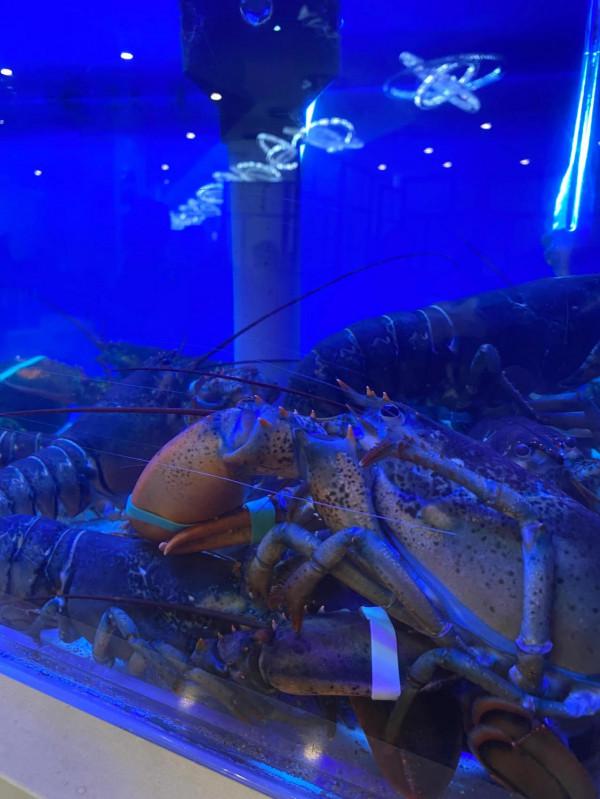 這裡的粵菜正宗