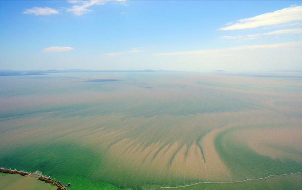 巢湖的隱患:“長江魚庫”散財70年,淤泥引發“營養危機”? 巢湖的隱患:“長江魚庫”散財70年,淤泥引發“營養危機”?