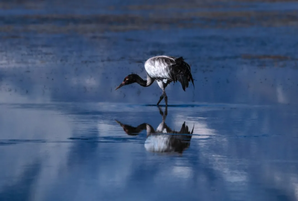 在阿里的四季裡，感受美好的一年