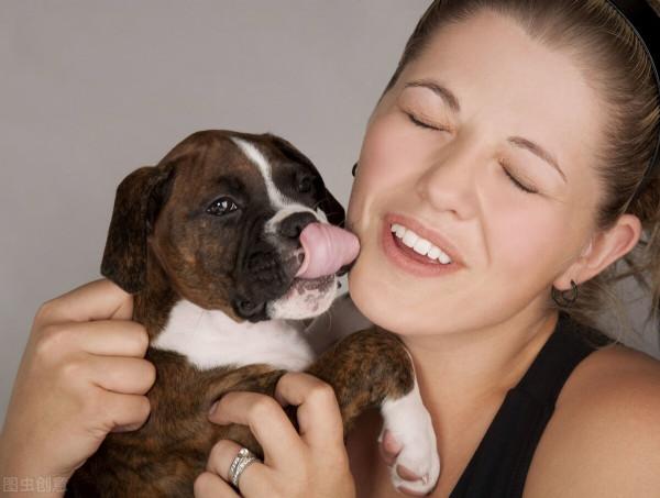 一條狗真正被你“養熟”了,就會有這幾種行為 一條狗真正被你“養熟”了,就會有這幾種行為