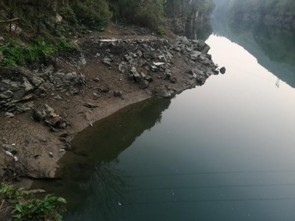 意外收穫野生大鯉魚，洗臉盆都裝不下