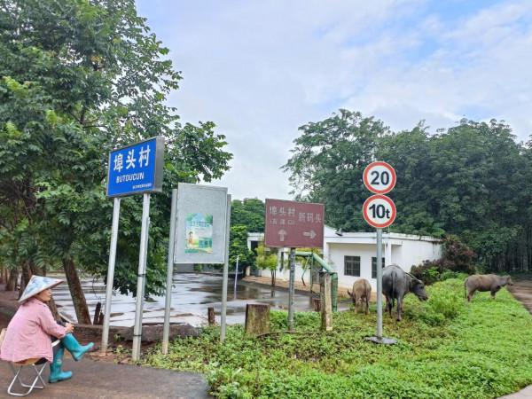 南渡江濱,探幽海南最早的行政首府,“遺棄”千年的州治“舊州” 南渡江濱,探幽海南最早的行政首府,“遺棄”千年的州治“舊州”