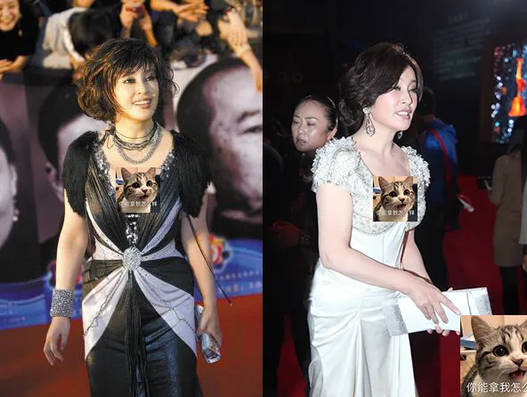 這些年,出現在金雞百花紅毯上的“妖魔鬼怪”,雷到我起不出標題 這些年,出現在金雞百花紅毯上的“妖魔鬼怪”,雷到我起不出標題