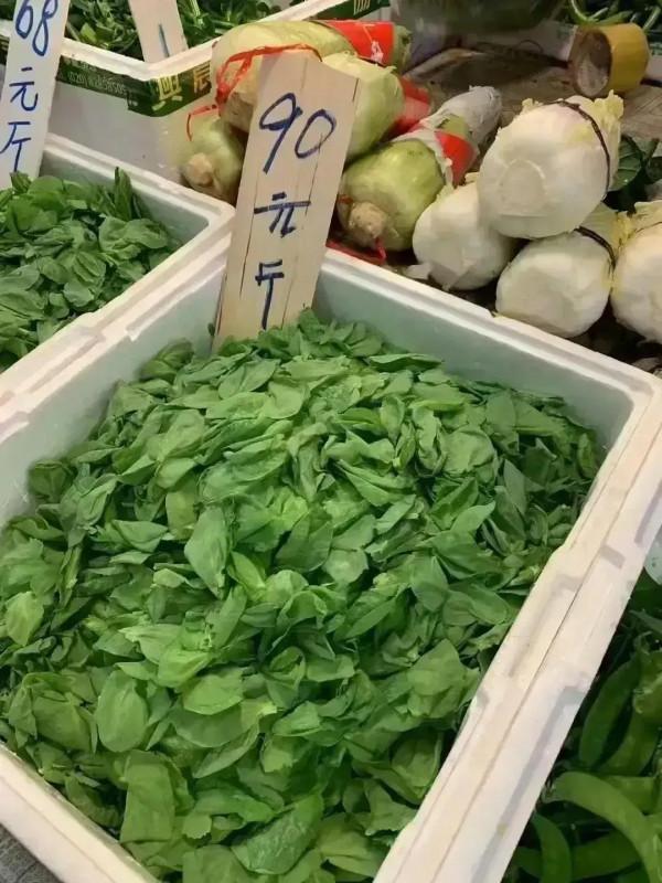 你相信因果報應和天道淪洄嗎？