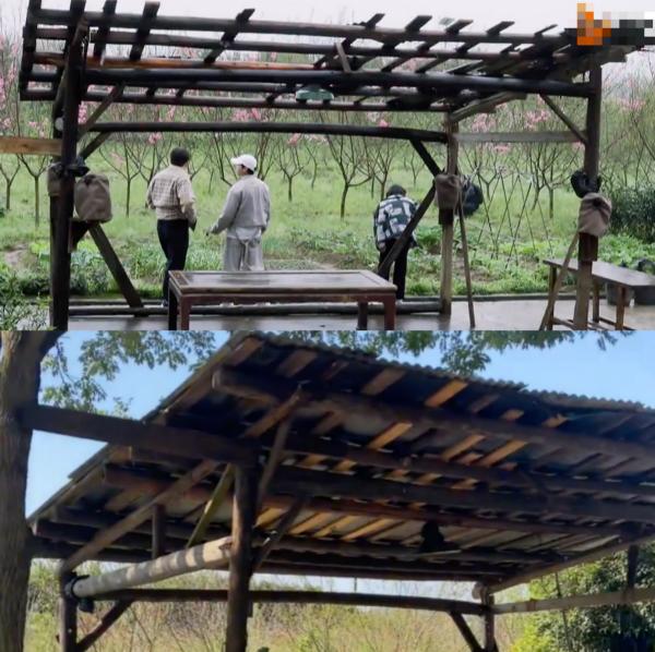 《嚮往》蘑菇屋廁所首曝光!裝飾豪華設施齊全,與木板房反差極大 《嚮往》蘑菇屋廁所首曝光!裝飾豪華設施齊全,與木板房反差極大