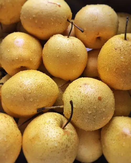 秋燥找上門，不妨多吃梨，但並非所有人群都適宜