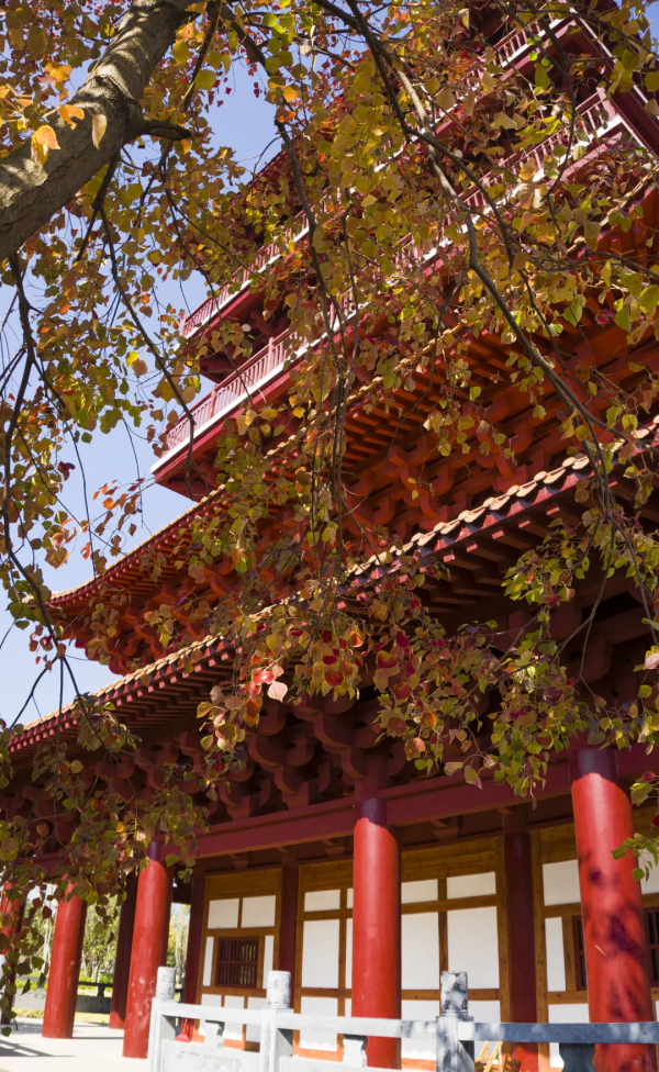 元旦帶上家人跟鐘山這位新晉“網紅”合個影吧！