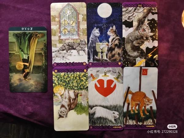 未來一個月的運勢課題