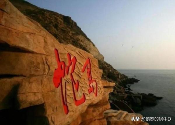 大連蛇島毒蛇為何如此多？都哪裡來的？生活在島上的人會被咬嗎？