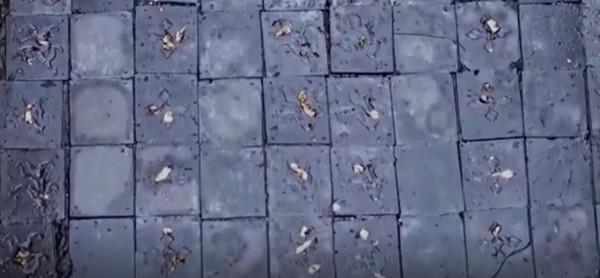 琅琊漢墓出土金龍玉席,頭髮骸骨都完好無缺,墓中積水清澈無比 琅琊漢墓出土金龍玉席,頭髮骸骨都完好無缺,墓中積水清澈無比