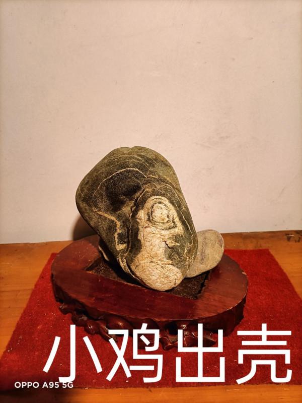 玩石六年的收穫 玩石六年的收穫