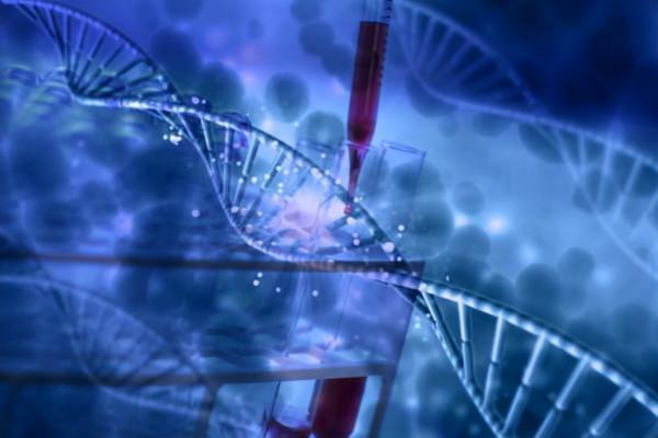 河豚也有轉基因？日本又推出基因編輯食品，專家稱很安全，靠譜嗎