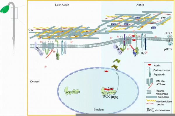 1天齊發5篇Nature,我國高校,牛 1天齊發5篇Nature,我國高校,牛