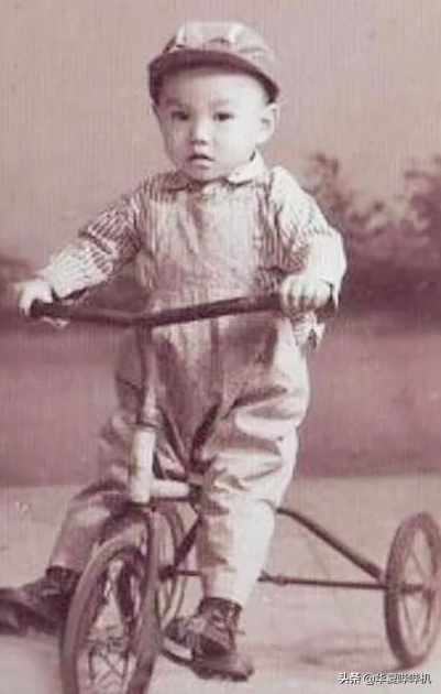 帶著翠花上酸菜的雪村，後來怎樣了？