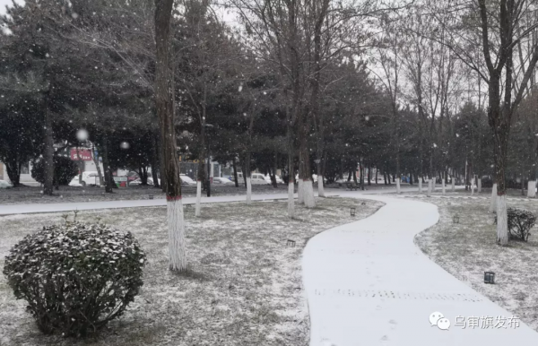 烏審～下！！雪！！啦！！