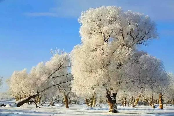 阿勒泰的冰雪風情