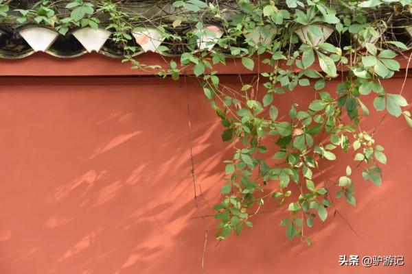 劉備託孤、李白寫詩的古城如今孤懸江心，門票100元值不值？