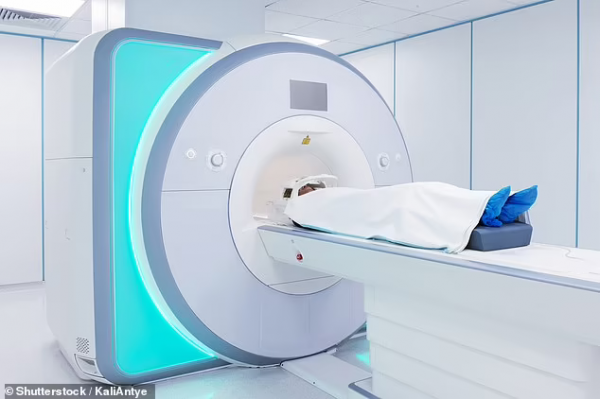 新法治癌:小鋼球經MRI引導至腫瘤,迅速加熱並炸燬癌細胞 新法治癌:小鋼球經MRI引導至腫瘤,迅速加熱並炸燬癌細胞