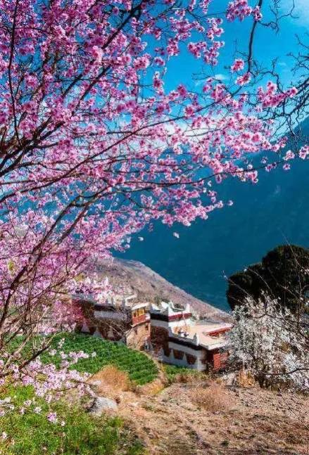 分享~九寨溝 碧水藍天 天然唯美