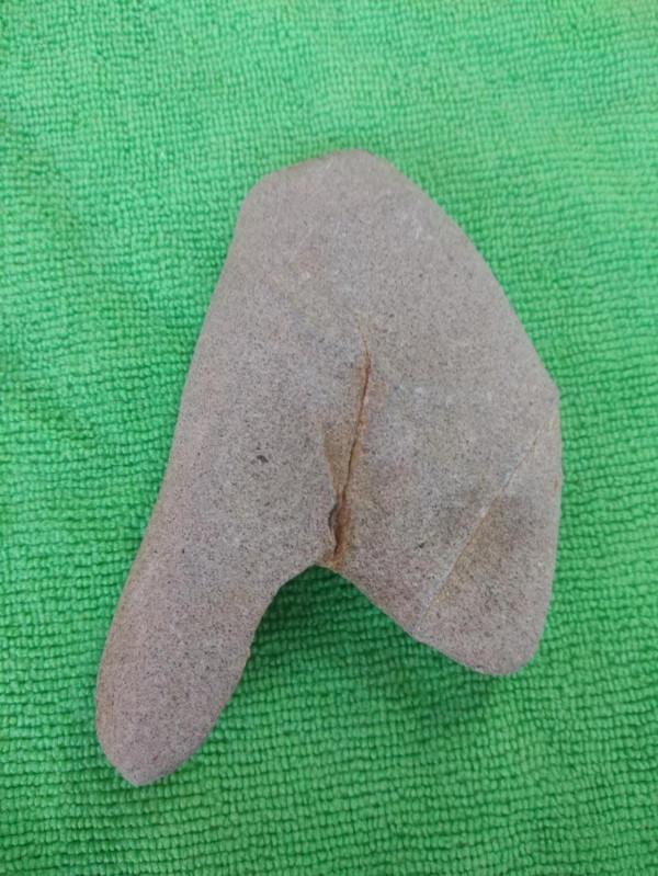 天上不掉餡餅只掉雞腿