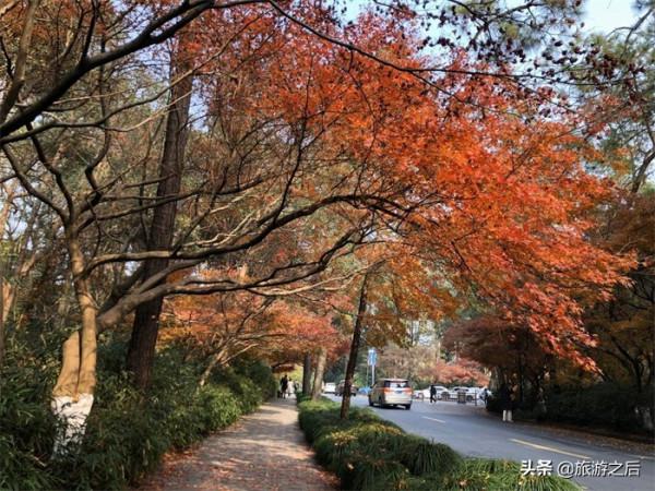 秋天是小眾旅遊地：看楓葉的好地方，人少景美