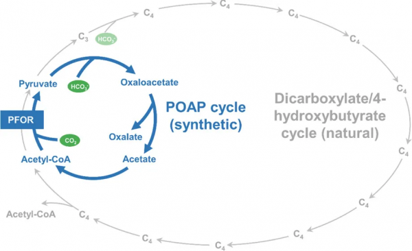 長度2.8奈米的碳奈米管分子結電晶體問世,​中國國際頂刊論文數量達世界第二丨一週科技導讀 長度2.8奈米的碳奈米管分子結電晶體問世,​中國國際頂刊論文數量達世界第二丨一週科技導讀