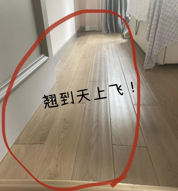 若再裝修，客廳一定“6不裝”，美觀且實用，難怪很多人效仿