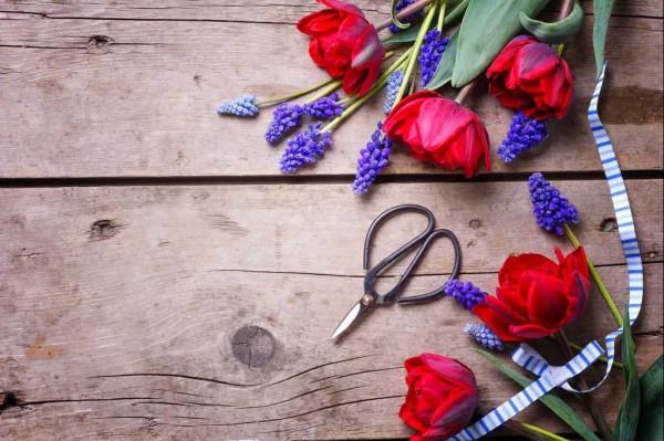 這個神奇的相位，邀請你對生命裡的&OpenCurlyDoubleQuote;不合時宜&rdquo;做調整！（收藏）